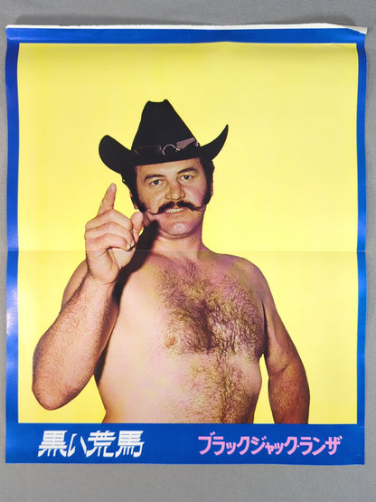 Mil Mascaras  Undercover Series Pin-Up Part 3