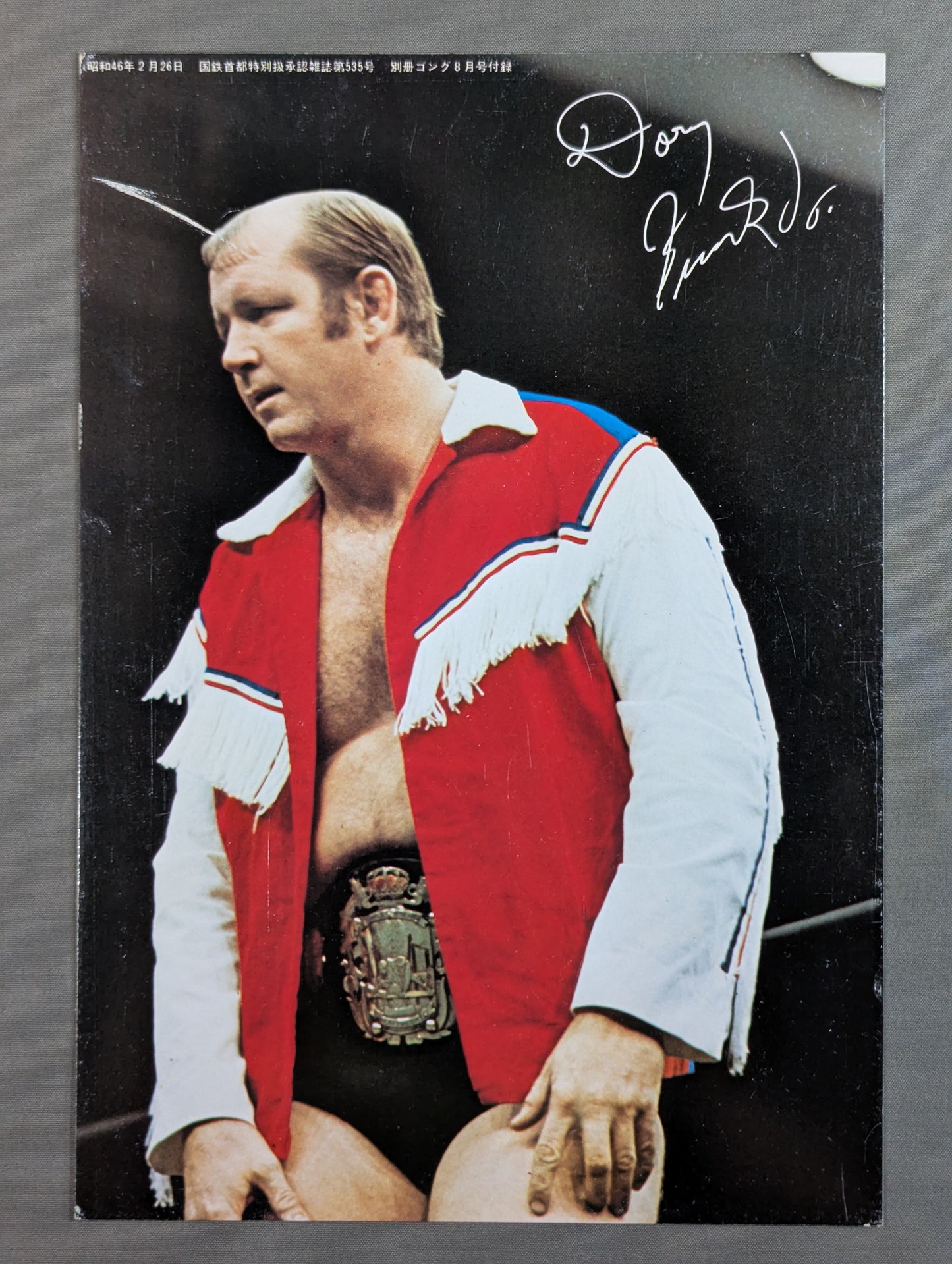 Dory Funk Jr.  wall hanging photo
