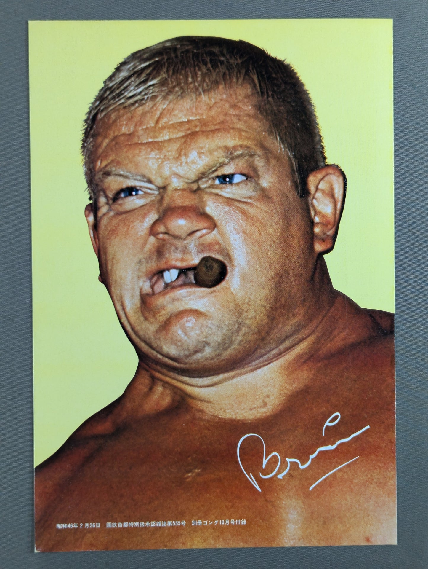 Dick the Bruiser wall hanging photo
