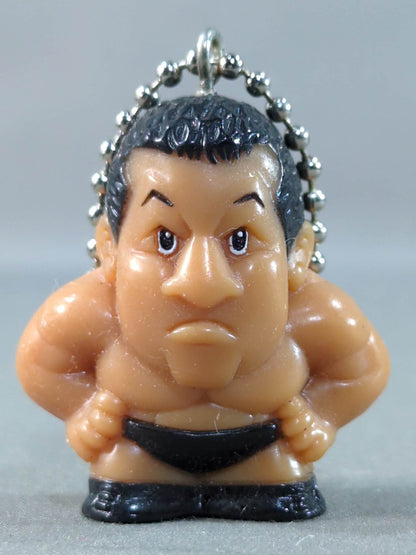 Tatsumi Fujinami Pro-Wrestling Keychain collection  vol.1