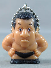 藤波辰爾 プロレスリングキーホルダーコレクション vol.1 – 闘道館