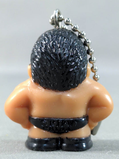Tatsumi Fujinami Pro-Wrestling Keychain collection  vol.1