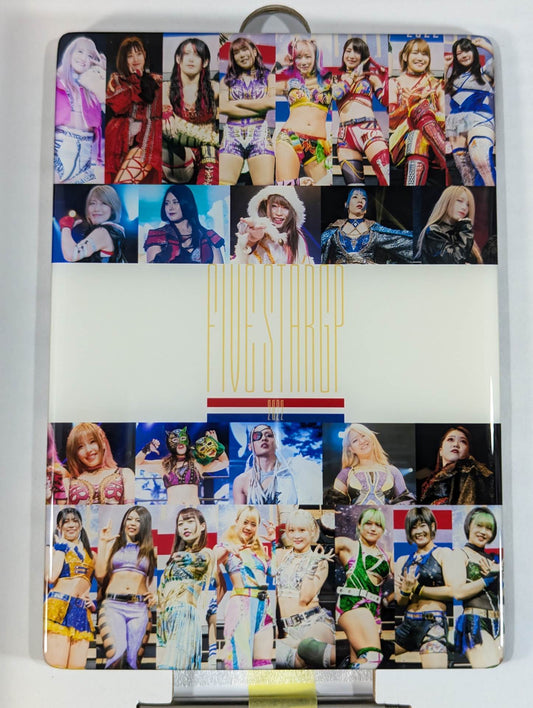 STARDOM Crystallography (5 STAR GP 2022)