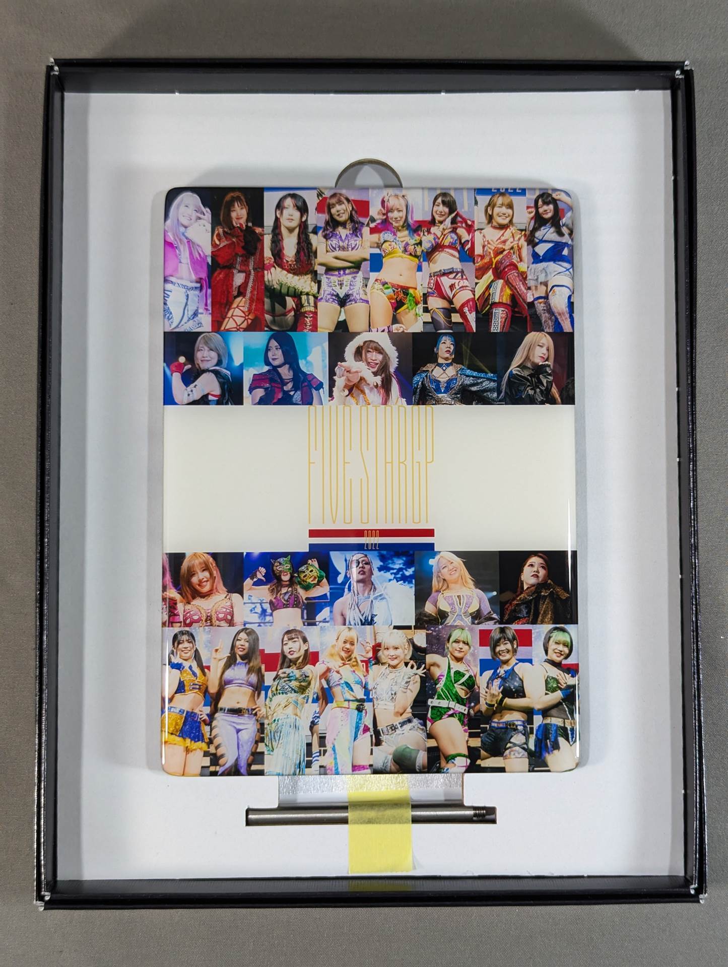 STARDOM Crystallography (5 STAR GP 2022)
