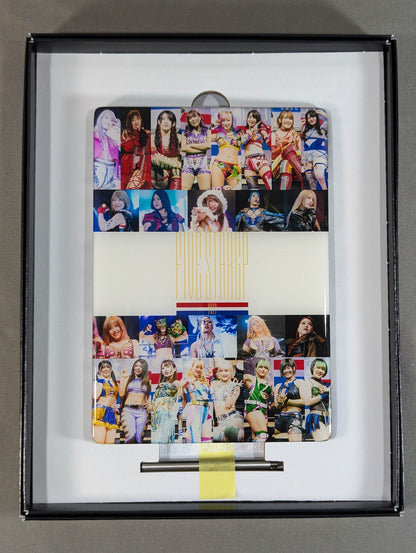STARDOM Crystallography (5 STAR GP 2022)