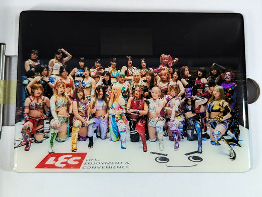 STARDOM Crystallography (fighters  set B)