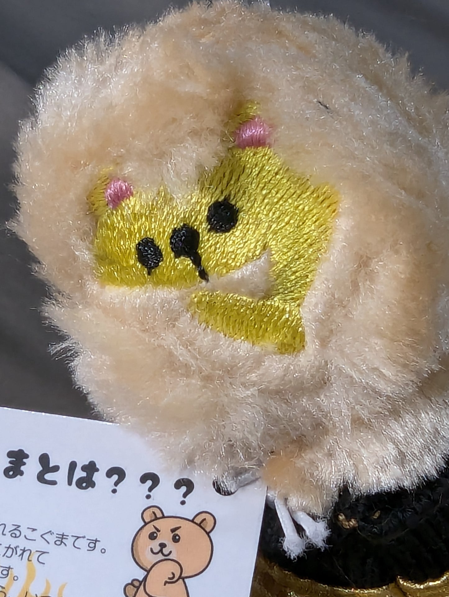SHO「マネくま」