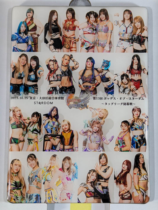 STARDOM クリスタルグラフィー(GODDESS OF STARDOM 2023)