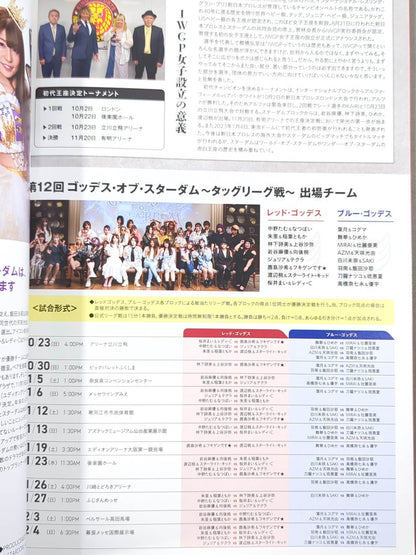 STARDOM OFFICIAL GUIDE BOOK Vol.144