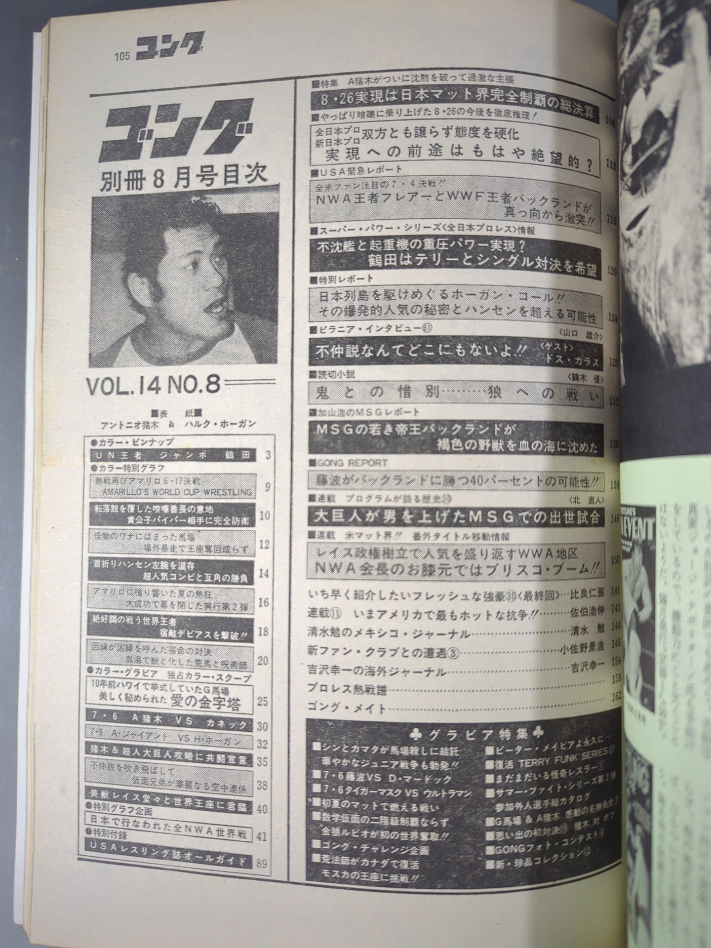 別冊ゴングVol.14 No.8