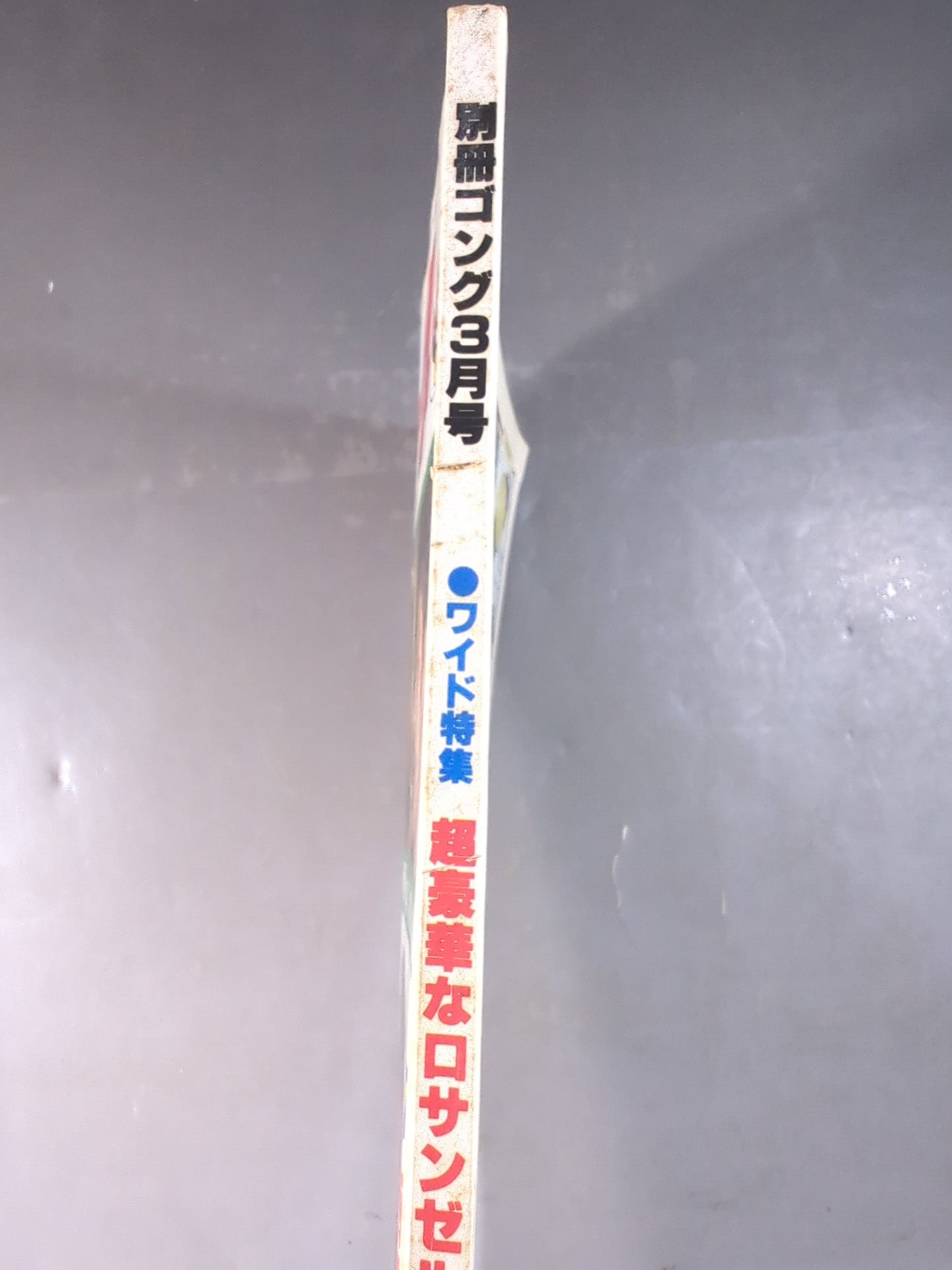 別冊ゴングVol.12 No.3