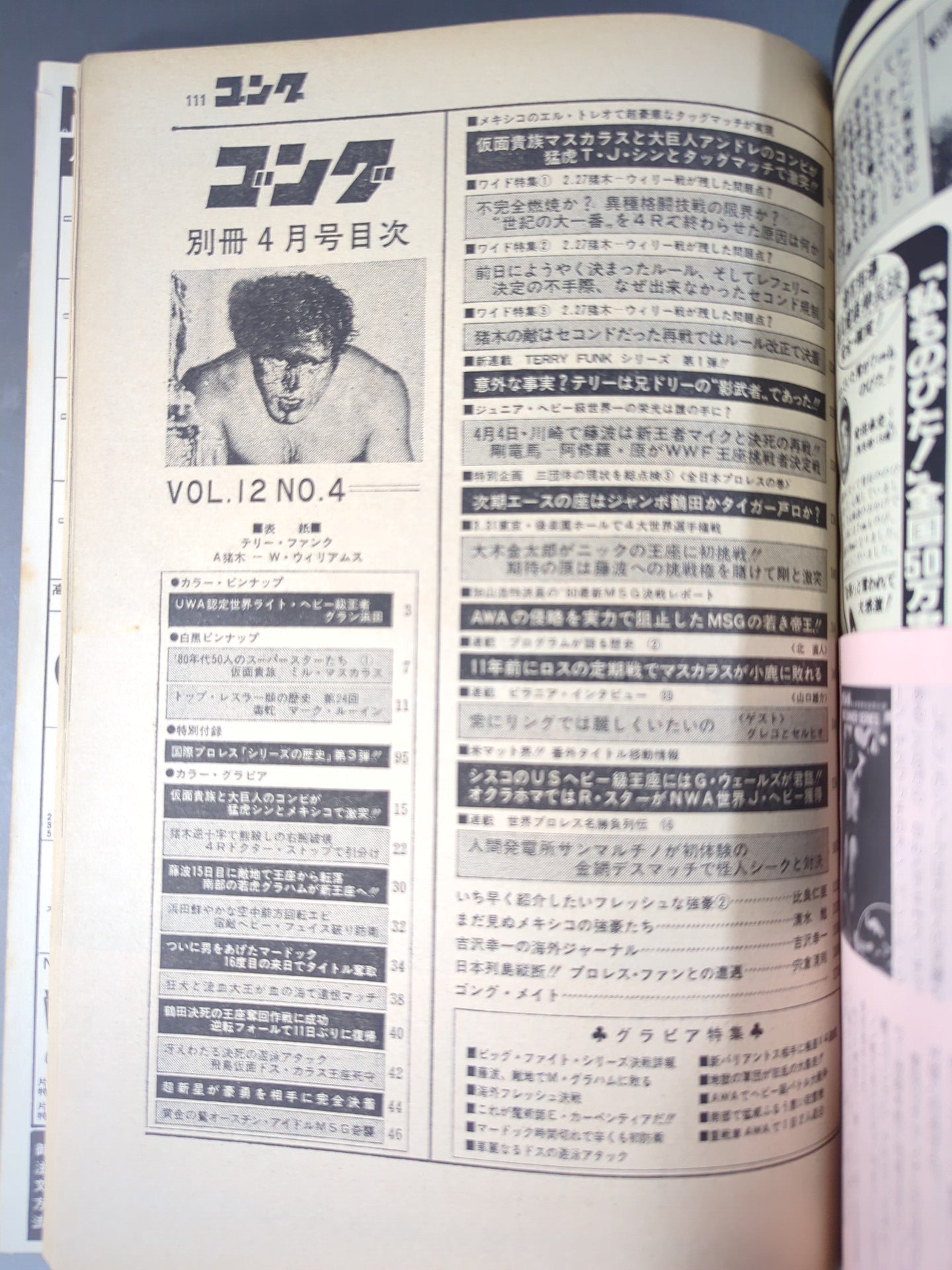 別冊ゴングVol.12 No.4