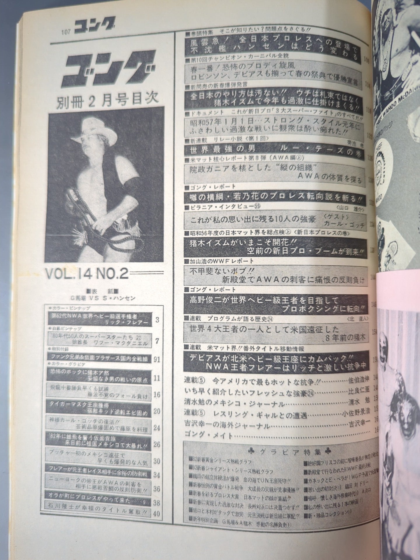 別冊ゴングVol.14 No.2
