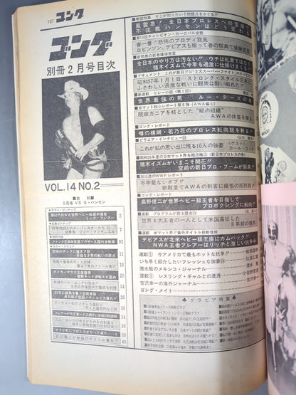 別冊ゴングVol.14 No.2