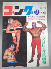 月刊ゴングVol.3 No.14増刊 – 闘道館