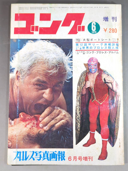 月刊ゴングVol.3 No.7増刊