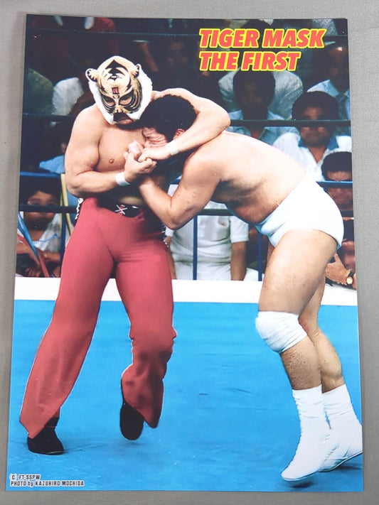 First Tiger Mask Official Pro-Photo  (D-1)