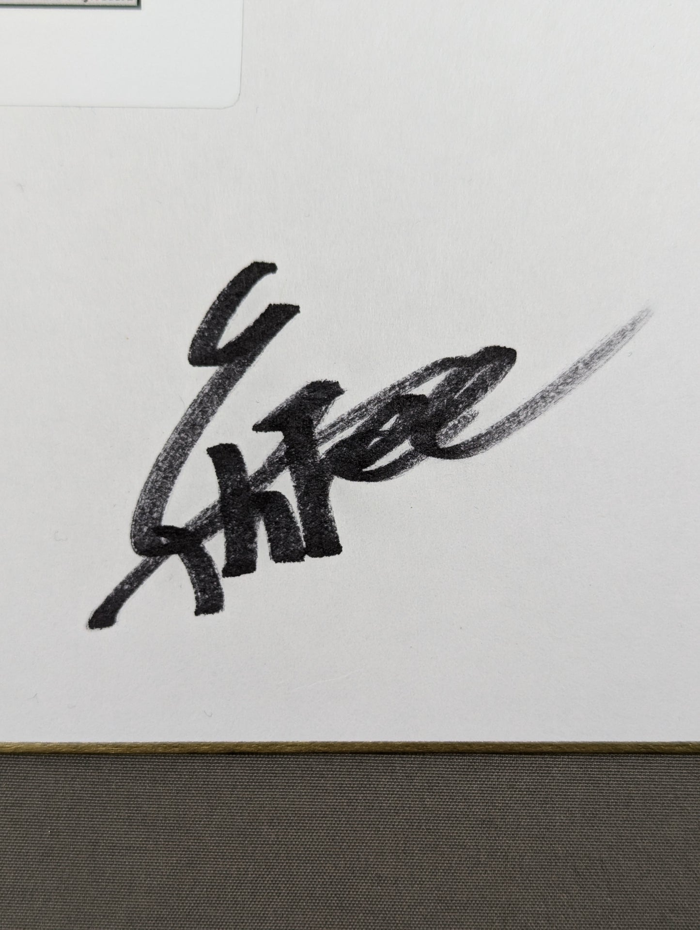 YOH (Lion Mark Shikishi ( Autograph board ) )