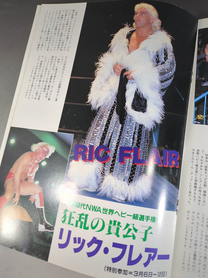 ★谷津vsフレアー NWA戦★ 創立15周年記念 87エキサイト・シリーズ