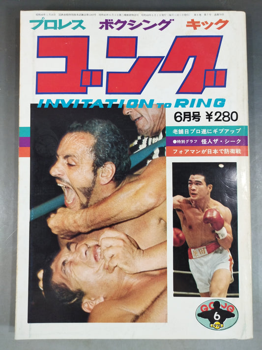 月刊ゴングVol.6 No.7