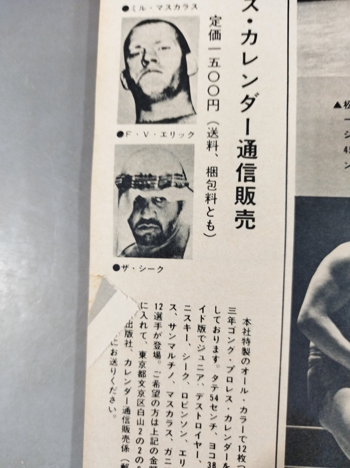 月刊ゴングVol.6 No.7