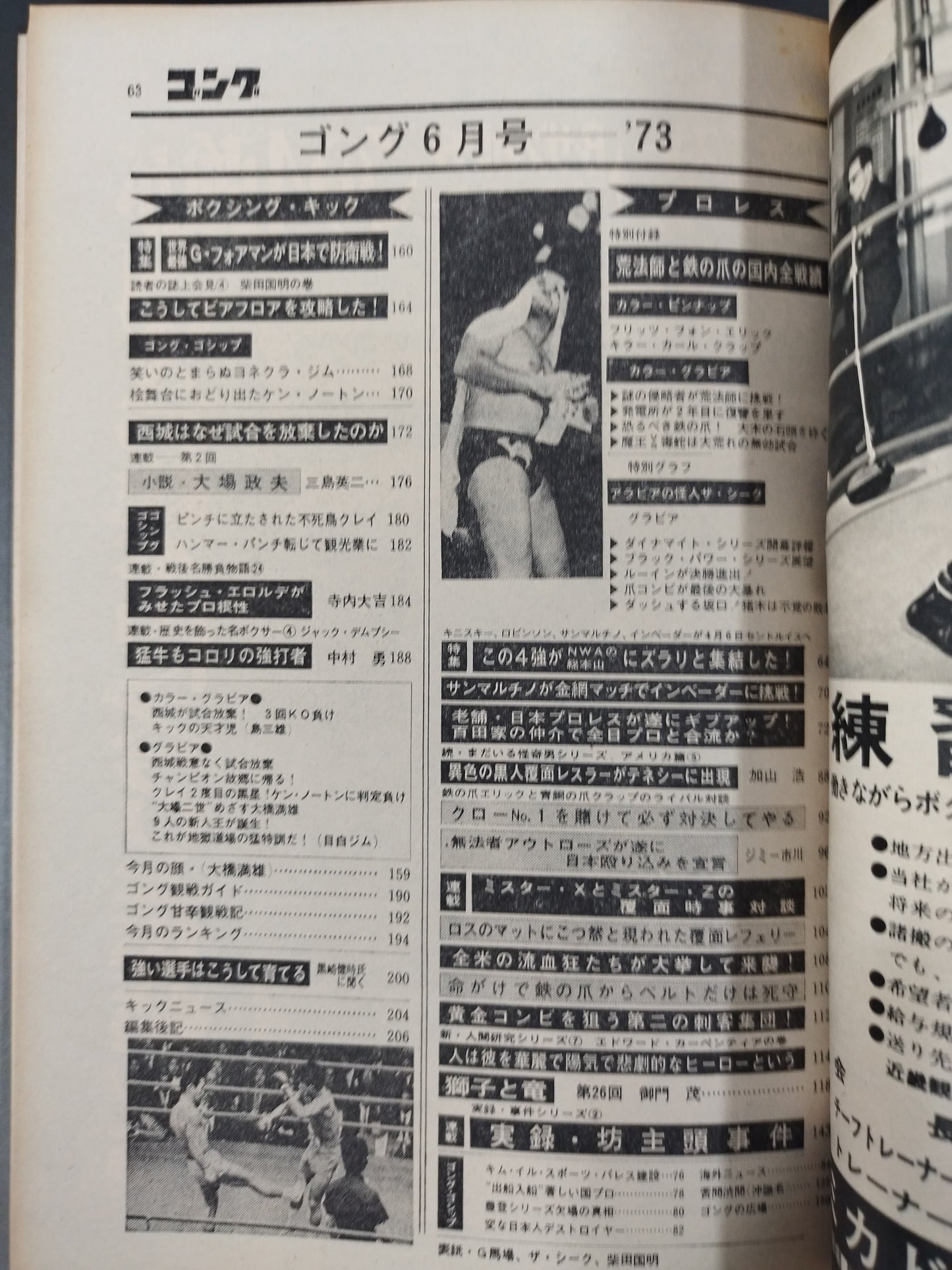 月刊ゴングVol.6 No.7