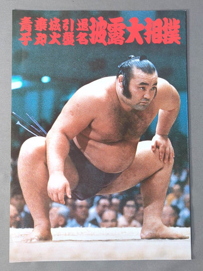 青葉城引退・不知火襲名 披露大相撲 取組表