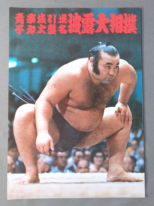 青葉城引退・不知火襲名 披露大相撲 取組表