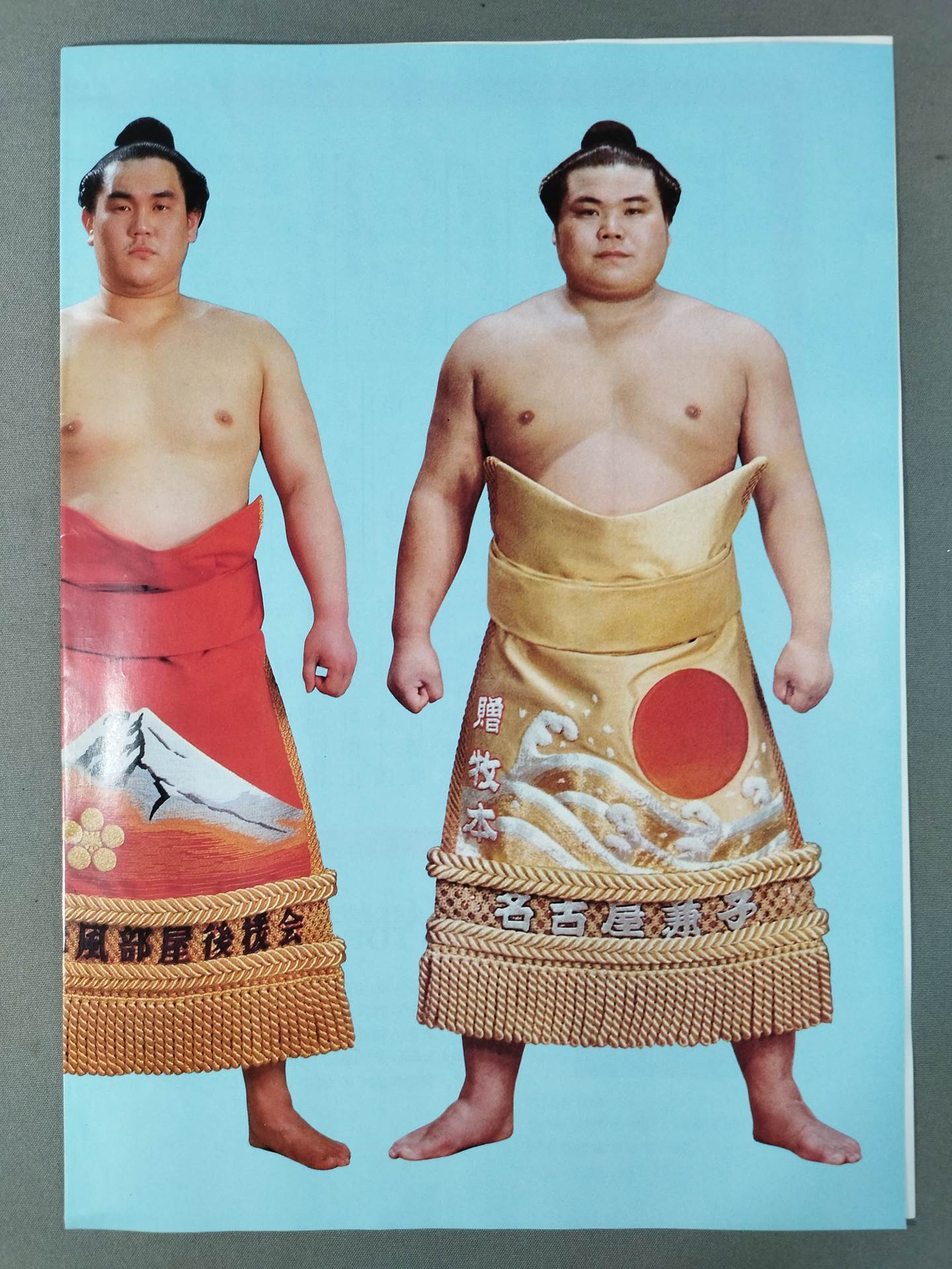 双津竜引退・錦島襲名 披露大相撲 取組表