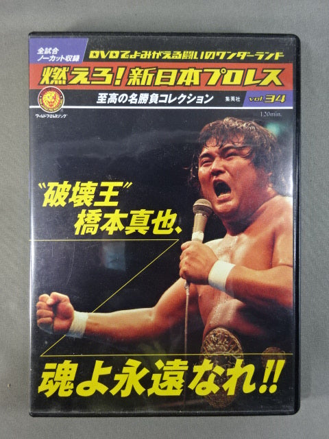 燃えろ!新日本プロレス vol.34