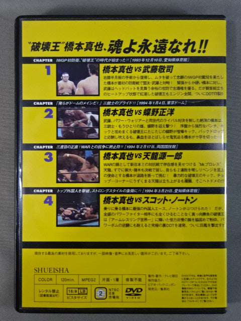 燃えろ!新日本プロレス vol.34