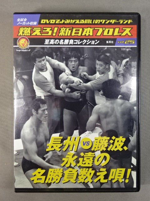燃えろ!新日本プロレス vol.25