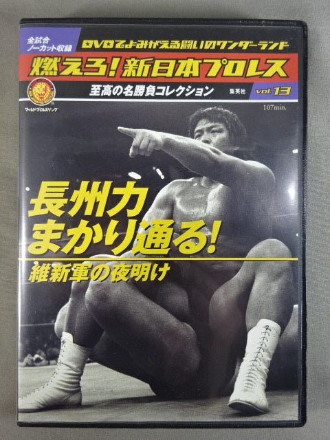 燃えろ!新日本プロレス vol.13