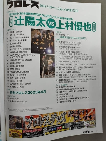Weekly Pro Wrestling 2354