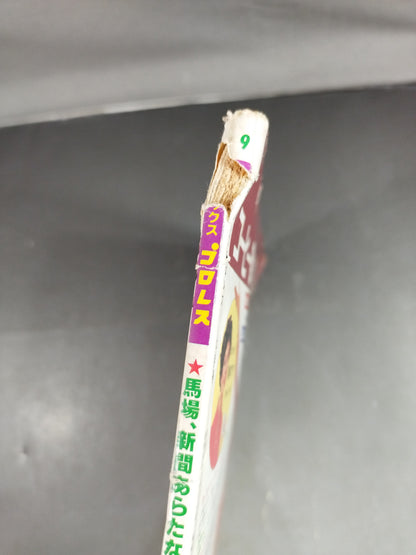 Deluxe Pro Wrestling September 1982