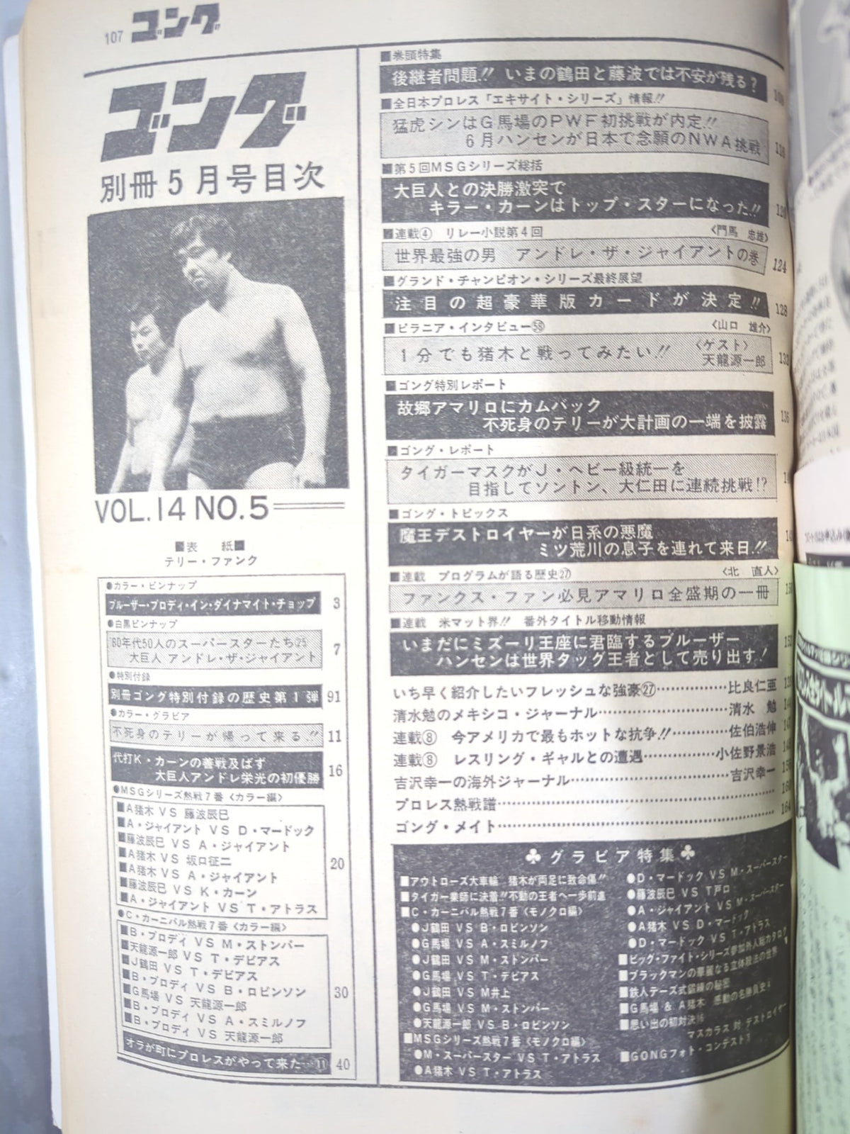 別冊ゴングVol.14 No.5