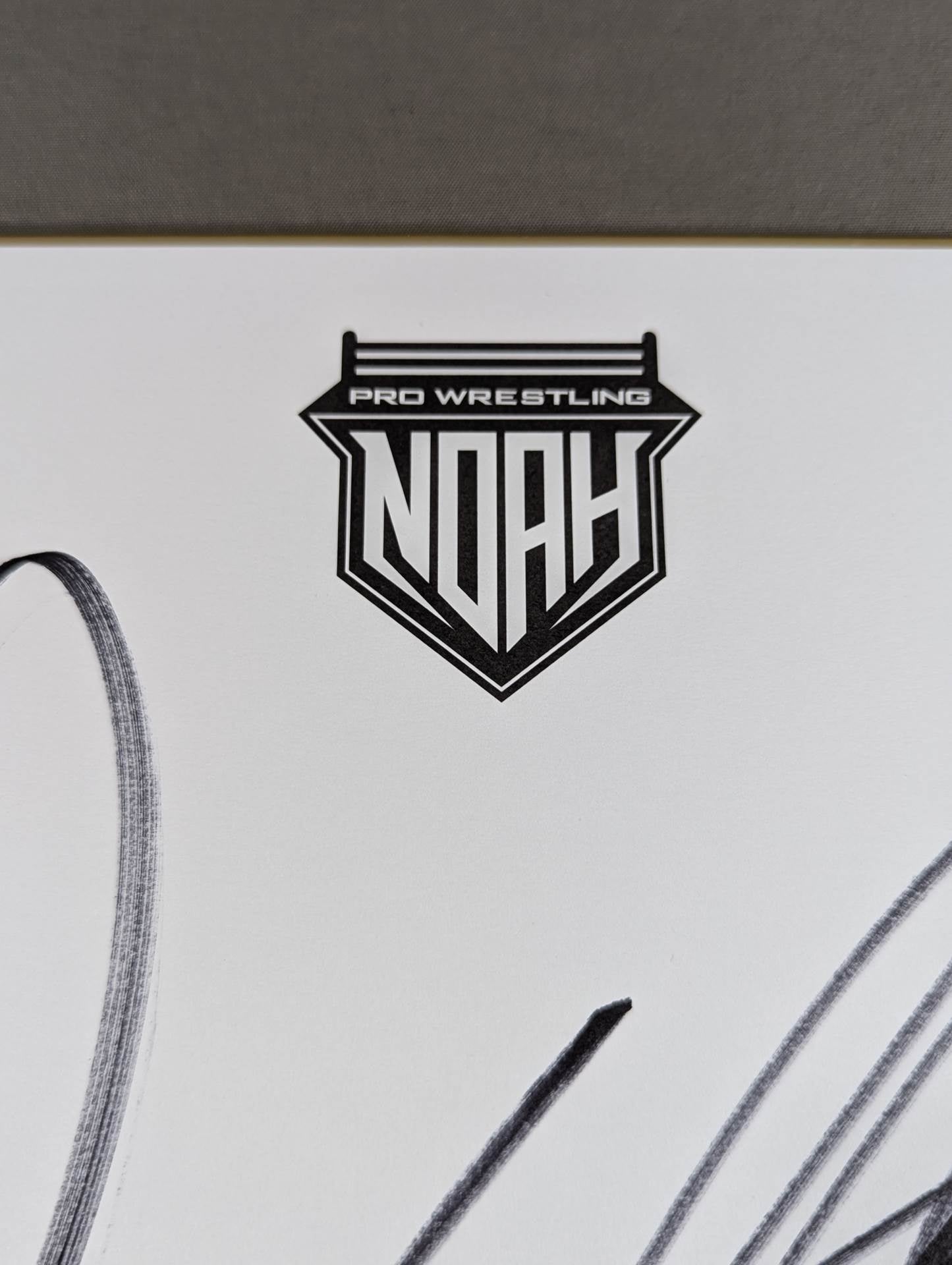 佐々木憂流迦(NOAH専用色紙)
