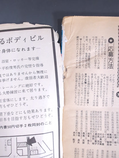 月刊プロレス 1980年4月号