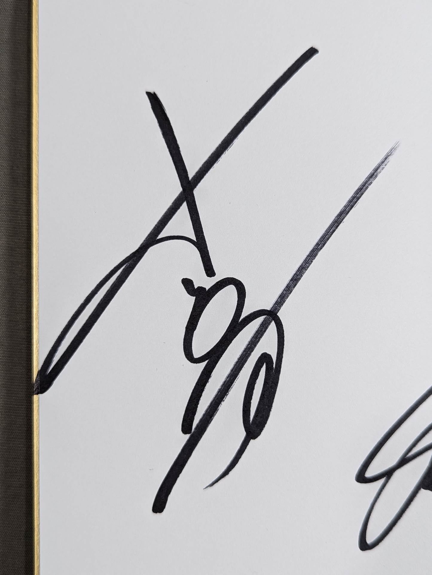 ★TEAM NOAH★ 4選手寄せ書き(NOAH25周年色紙)