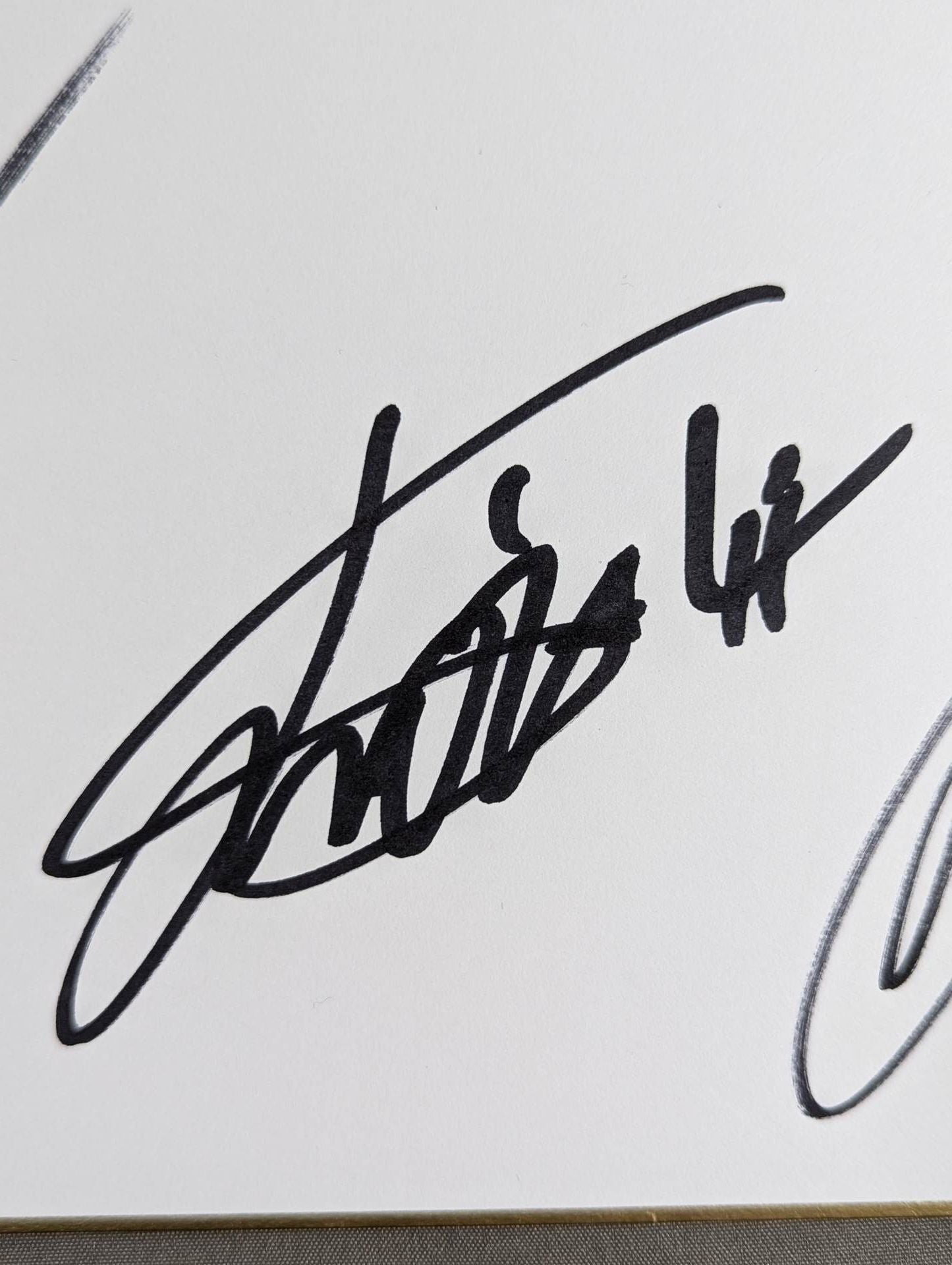 ★TEAM NOAH★ 4選手寄せ書き(NOAH25周年色紙)