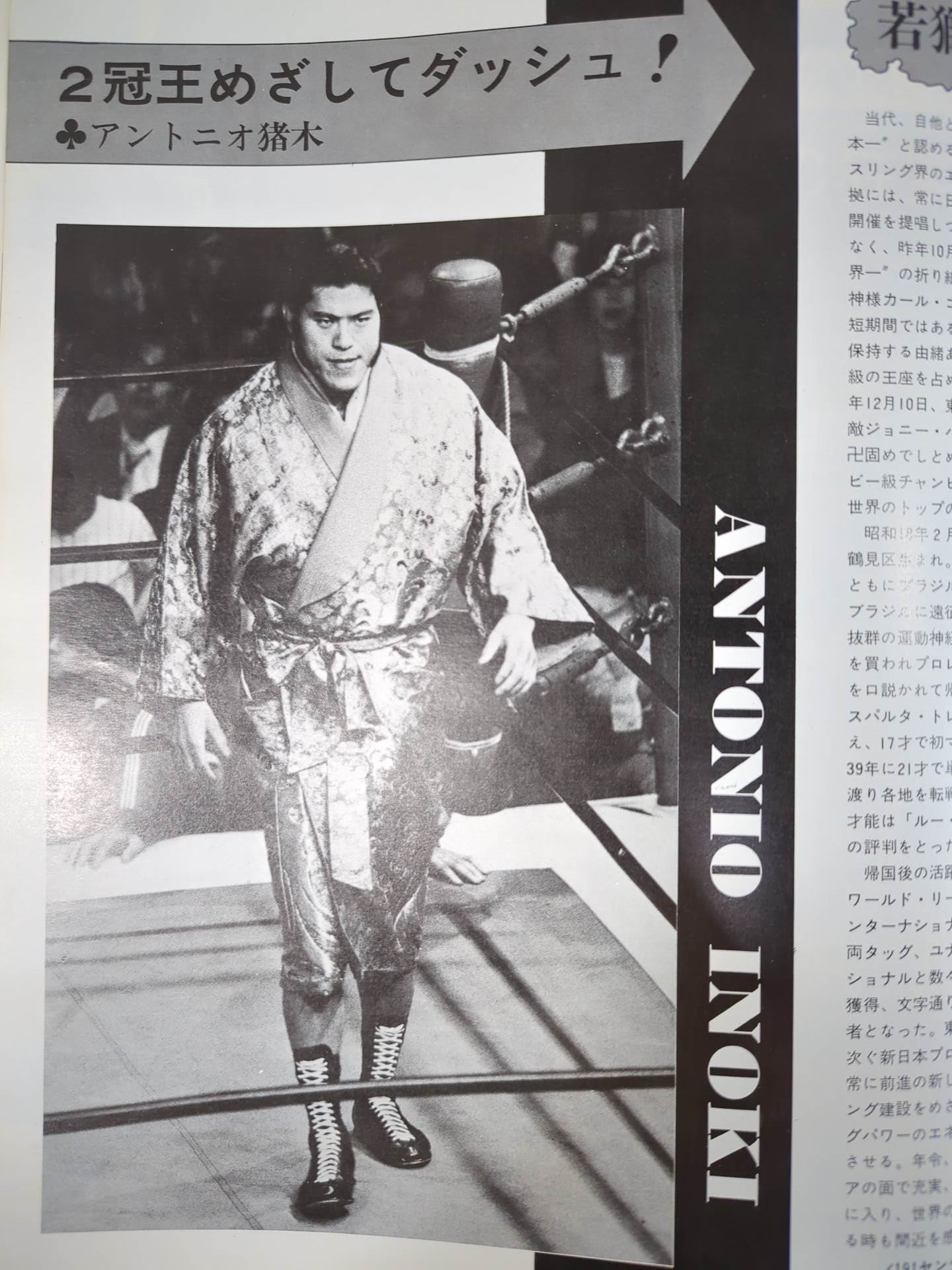 74ゴールデンファイトシリーズ