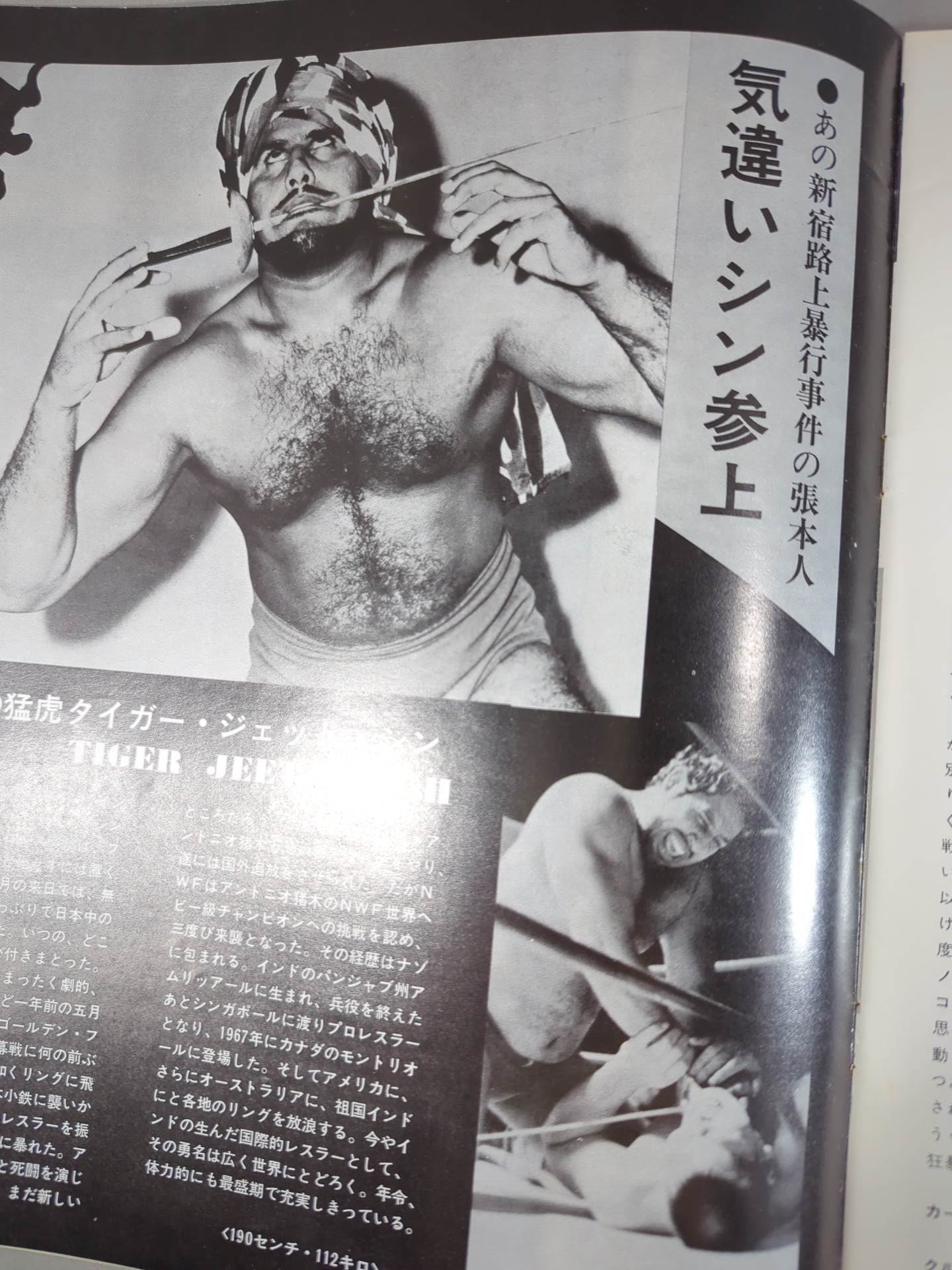 74ゴールデンファイトシリーズ