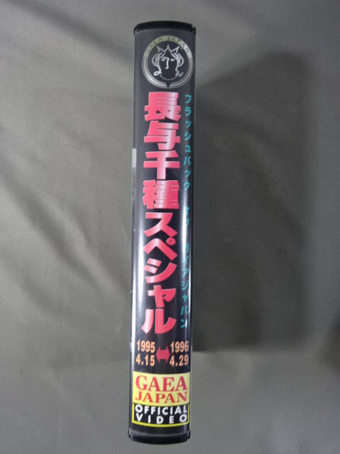 GAEA JAPAN 長与千種スペシャル