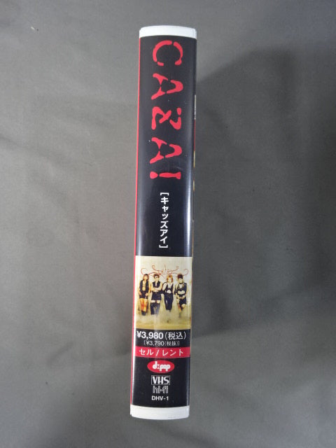 ARSION CAZAI 〔キャッズアイ〕