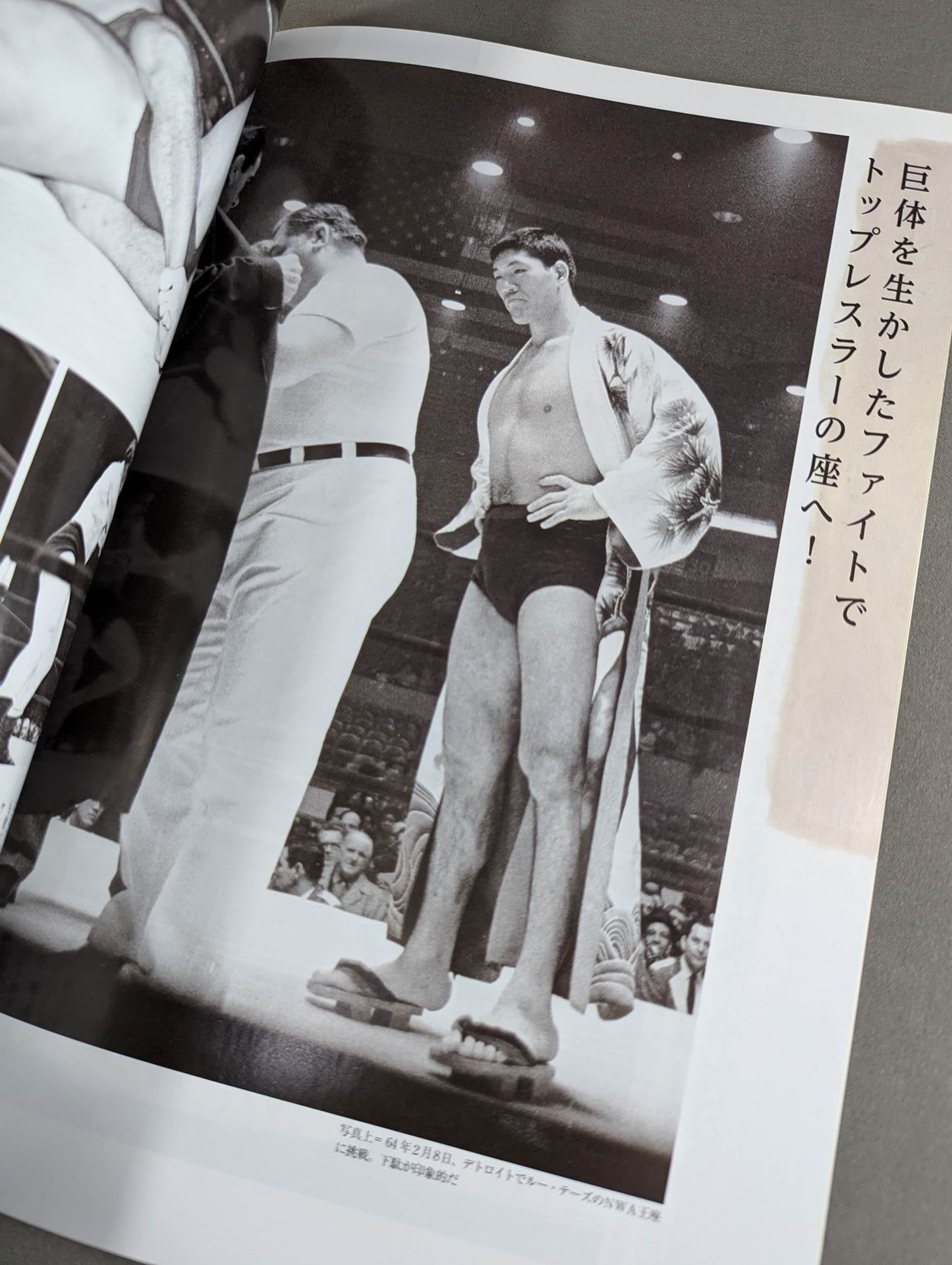 ジャイアント馬場 十七回忌追善興行 王道は永遠に。