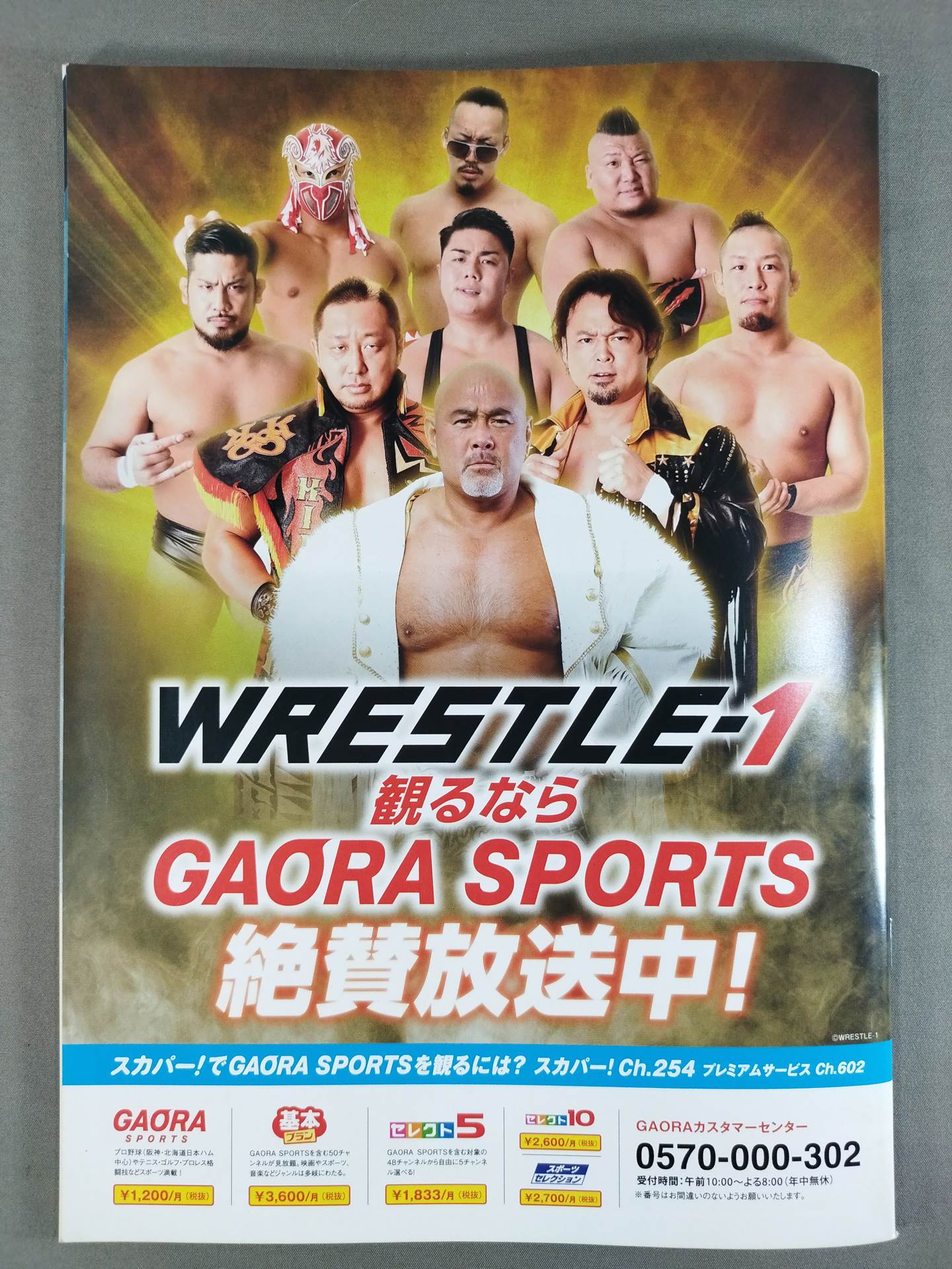 WRESTLE-1 2019 プロレスLOVE in YOKOHAMA