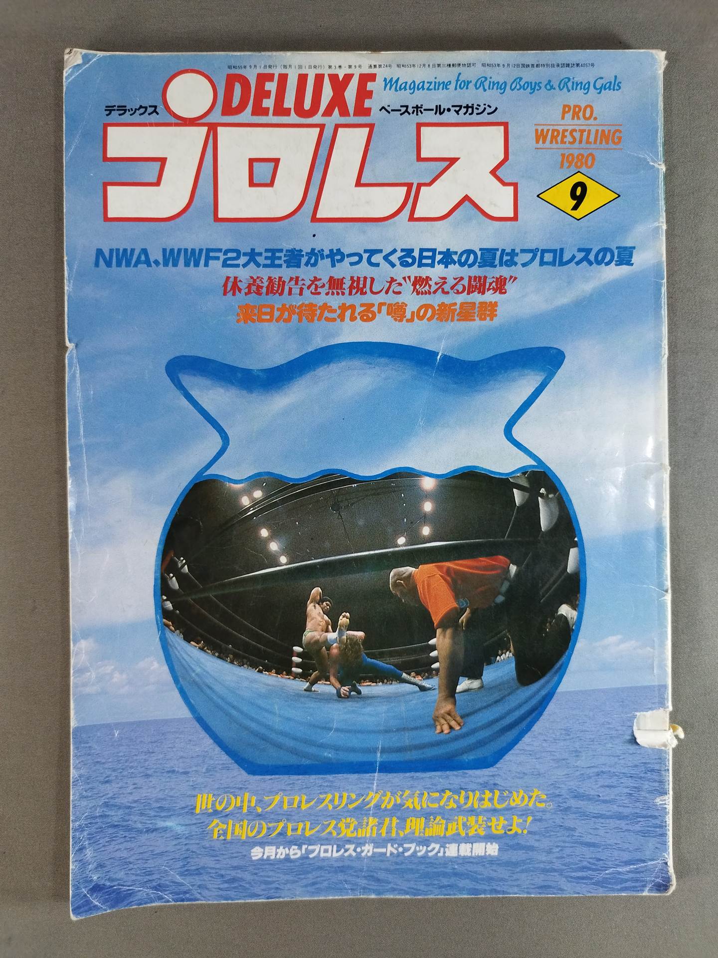 Deluxe Pro Wrestling  September 1980