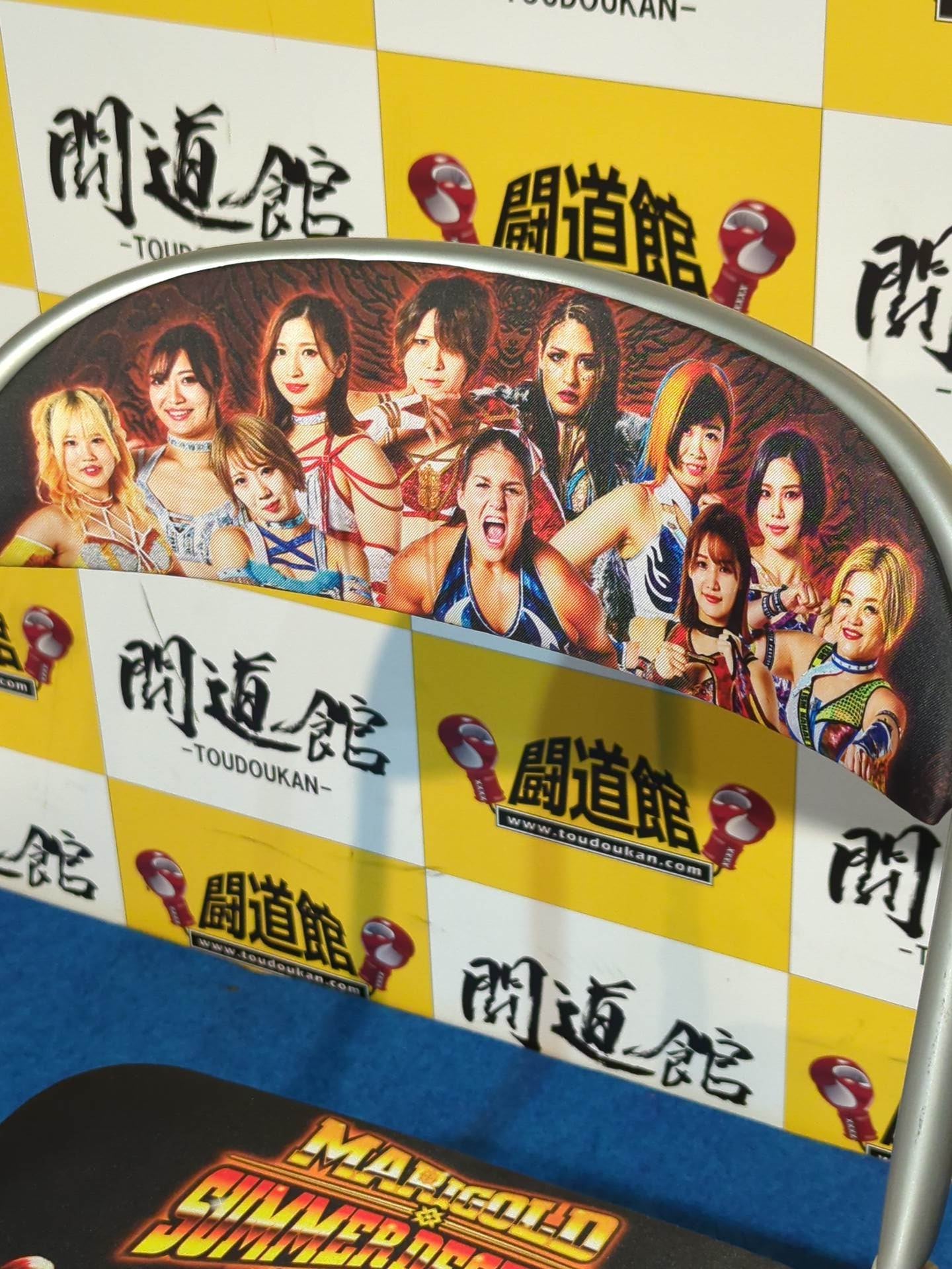 女子プロレス　マリーゴールド　両国　ロイヤルシート　特典　椅子 競売 女子プロレス マリーゴールド 椅子 特典 ロイヤルシート
