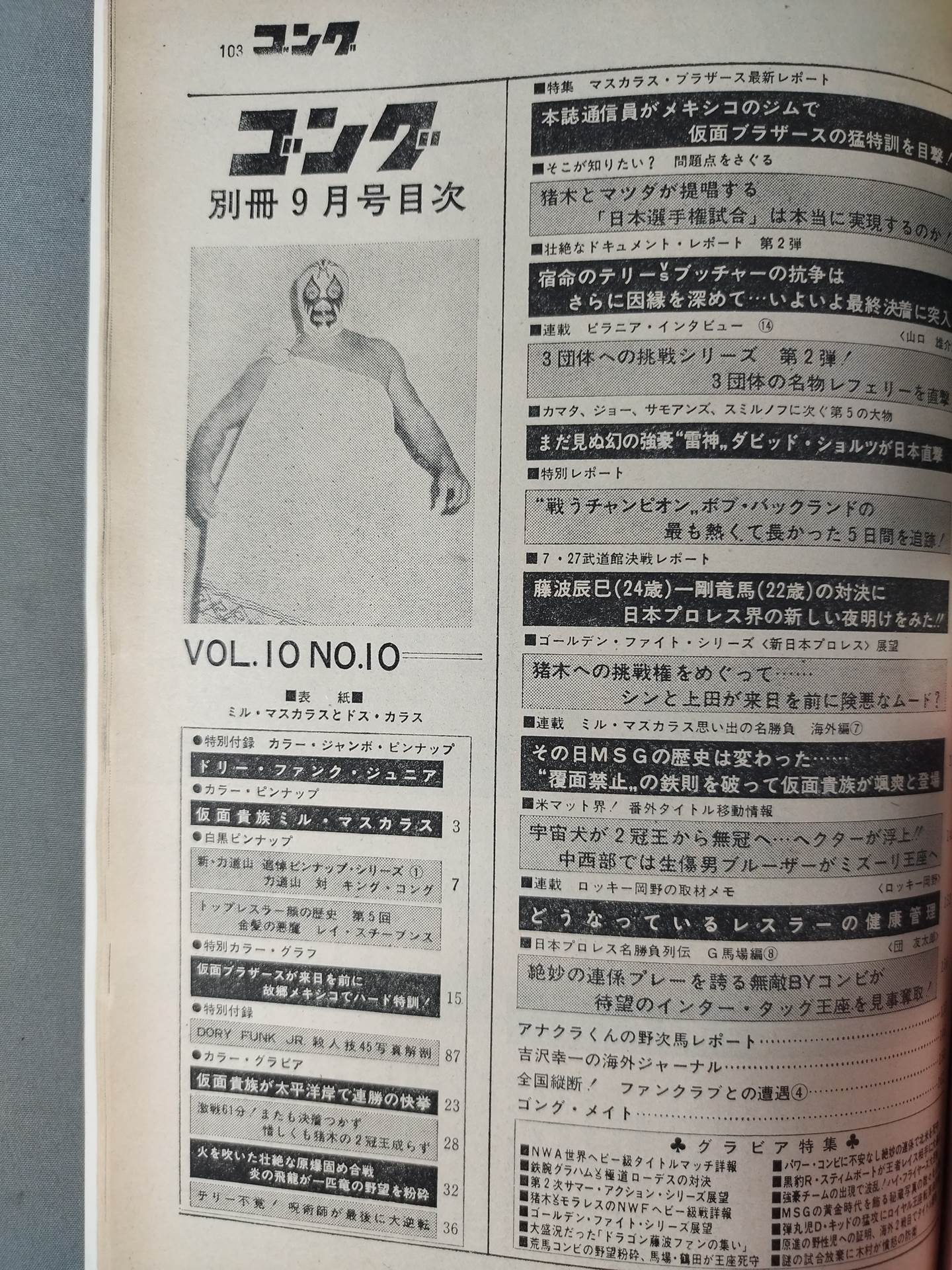 別冊ゴング 昭和58年3月号（表紙モデル）テリー・ファンク