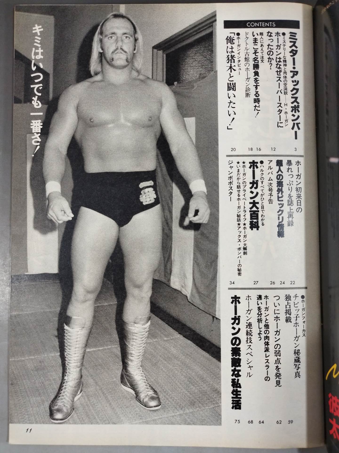 【5％OFF】 プロレスアルバム40 闘道館 – 一番ハルク・ホーガン 趣味・スポーツ・実用